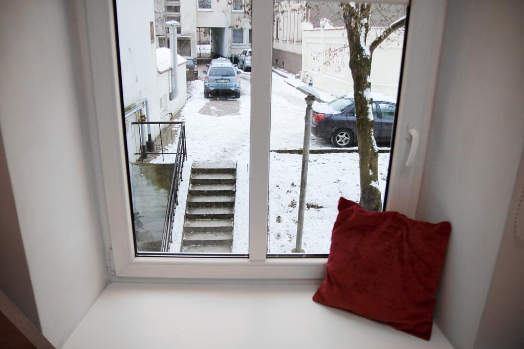 Great Apartment Near Town Hall فيلنيوس المظهر الخارجي الصورة